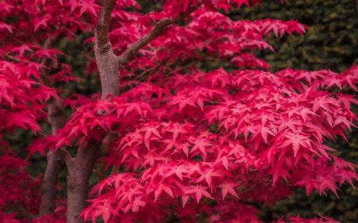 1741355 (a): :2560x1600